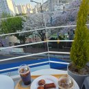 (주)페페 | 부산 온천장 벚꽃뷰 카페 추천 페페 루프탑 그리고 버터떡