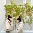 사리경주 풀빌라(이슬동) 이미지