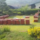 산야산업 이미지