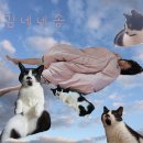 바고니