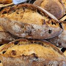 반월동041 이미지