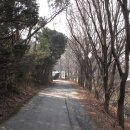 삼미농원 이미지