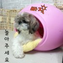 둥이PC 이미지