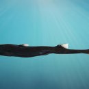 HMS FITNESS 이미지