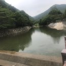 씨없는곶감마을 이미지