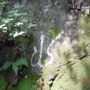 대송면 용암사 이미지