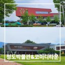 왈강달강 선사시대 책놀이 | 대구 근교 가볼만한곳 아이랑 방학나들이, 청도박물관&amp;한국코미디타운