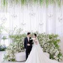 서수원카 | 수원 메리빌리아 컨벤션홀 본식 스냅 후기 / 에잇세븐포토그라피가 담은 예술작품 같은 웨딩