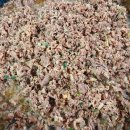 언양경로식당 이미지