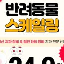 스무살의꿈 동물병원 이미지