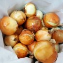 늘푸른건강명가 이미지