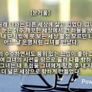 강*우 - 안양시 동안구 동편로 80 | 강*우