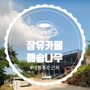 애솔나무 | 김해 대청동 카페 애솔나무 뷰 맛집