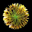 동양대학교 일반대학원 이미지