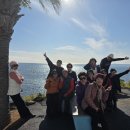 제주기사 | 제주 쏠라티 렌트 기사 포함 후기 : 주차 걱정 없는 진정한 제주여행 즐기기