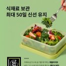 락앤락 스마트킵 프레쉬 플러스 후기｜항균 밀폐용기 추천, 최대 50일 보관.🥒🍉🧅🌶🫘🫚🥦🧄