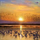 군무 2022-1 이미지