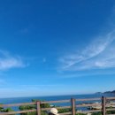 산천대축막창 이미지