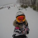 도하메드 이미지