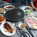 돈껍데기 이미지