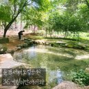 문경새재반려동물힐링센터(젠틀펫파라다이스) | [문경] 문경새재 도립공원 36개월미만 아이와 추천코스 / 반려동물