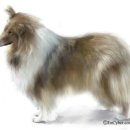 비엠에스팜 이미지