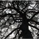 계곡사랑 이미지