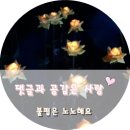 신세계이마트 희망장난감도서관 당진어시장 장난감도서관 이용후기 26개월 놀이터이용후기