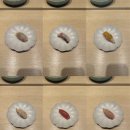 스시미소 - 성북구 고려대로28길 25 | 스시미소