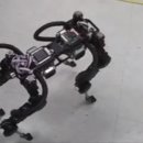 우리나라가 만든 4족형 견마로봇 -알레그로독 이미지