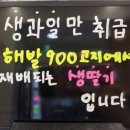 대전 은행동 구슬아이스크림이 있는 대전 탕후루 맛집 : 하이루탕후루 대전은행점
