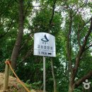 무양성(무한성) 이미지