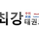 용인대 최강 태권도 이미지