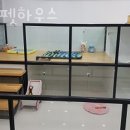 제니펫하우스 이미지