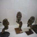 한남대학교 자연사박물관 이미지