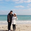행복 네이버블로그