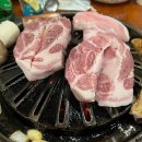 생포탄 이미지