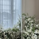 한사이언스 | 부산 웨딩홀 최종 계약후기(센텀사이언스파크 스카이홀)