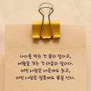 빙하시대