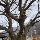 송선2리 이미지