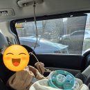 송스마켓 | 아기 외출 필수품 휴대해서 사용하기 좋은 가성비 사운드 장난감 플레이송스 조이핸들