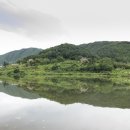 서오지리연꽃마을 이미지