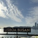 부산광역시 영도구 절영로 | 부산 영도 리스보아 황치즈 아이스크림 크로플 &amp; 오션뷰가 환상적인 흰여울문화마을카페!