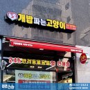 개밥파는 고양이 야당점 이미지