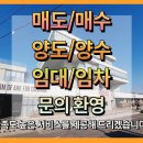 신선동-1 이미지