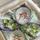 우림청과 이미지