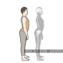 인우한의원 | 여의도 한의원 - 바른 자세 체형의 중요성, 바른 자세란? - 인우 한의원