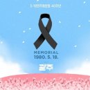 [종합]정우성·송가인→BTS 제이홉, 5·18민주화운동 40주년 추모 "잊지 않을것" 이미지