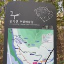 관악산공원(광장) 이미지