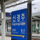 경주국민체육센터 수영장 이미지